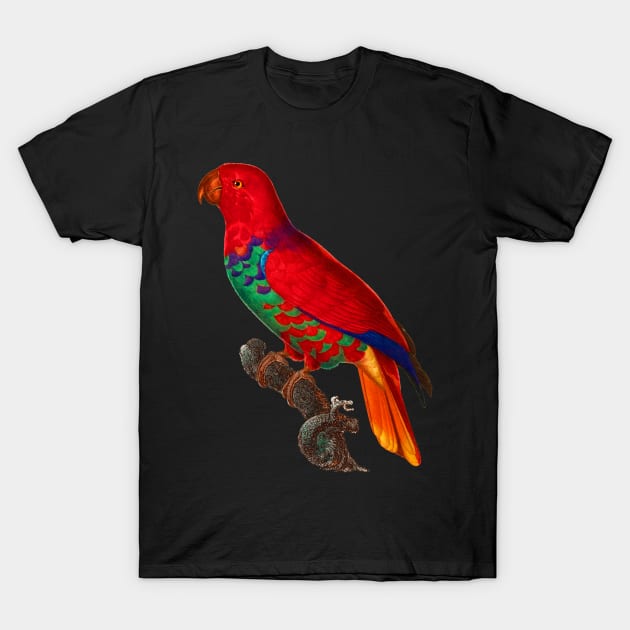 Black Panther Art - Beautiful Parrot 10 T-Shirt by The Black Panther